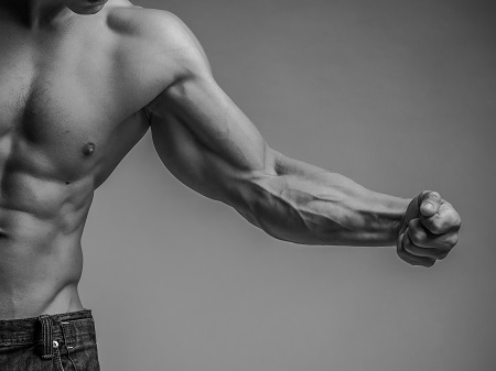 상승 다이어트의 표본 근육질 남성의 팔